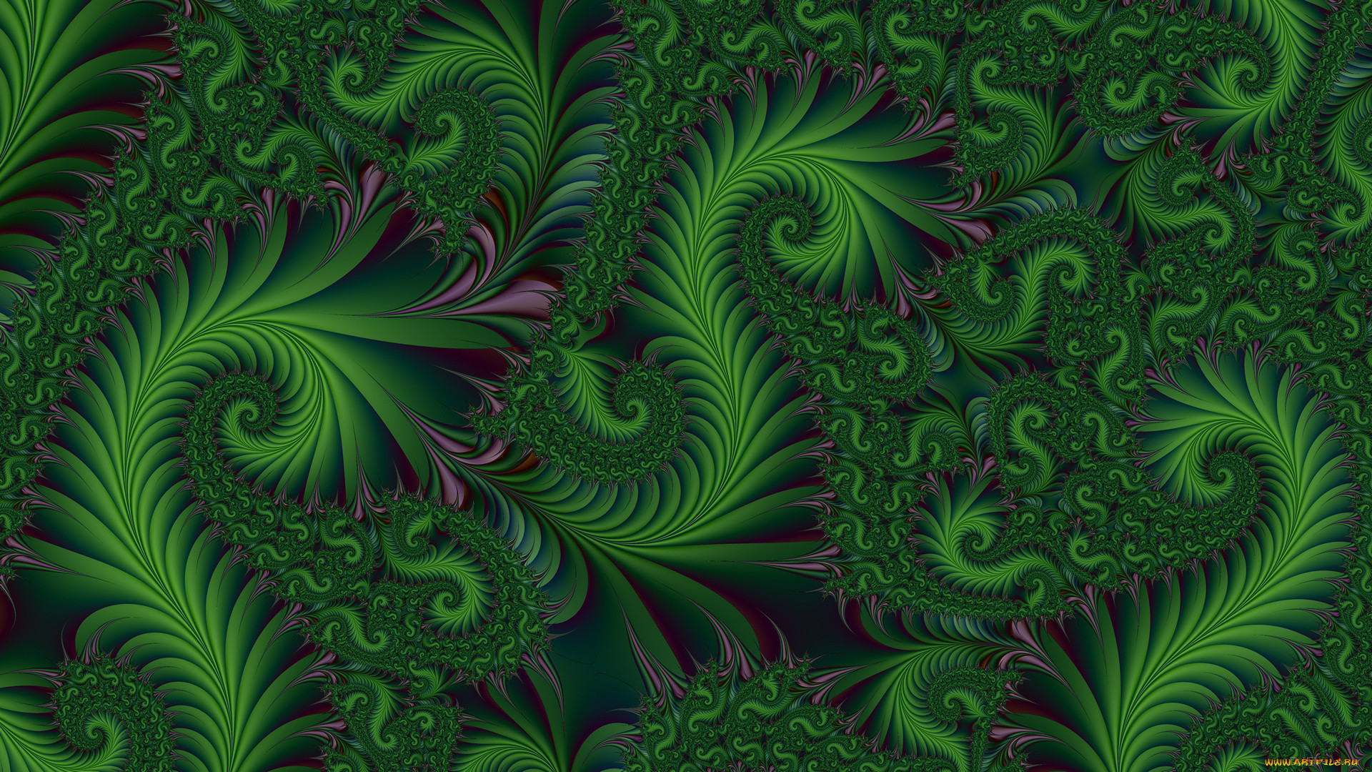 3 ,  , fractal, , , 